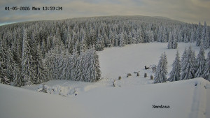 Směďava - Směďava, Černý vrch - 5.1.2026 v 14:00 Směďava - Směďava, Černý vrch - 5.1.2026 v 14:00