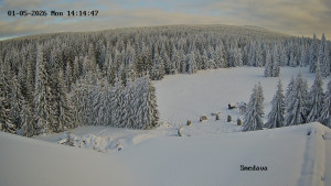 Směďava - Směďava, Černý vrch - 5.1.2026 v 14:15 Směďava - Směďava, Černý vrch - 5.1.2026 v 14:15