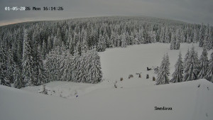 Směďava - Směďava, Černý vrch - 5.1.2026 v 16:15 Směďava - Směďava, Černý vrch - 5.1.2026 v 16:15