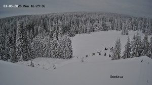 Směďava - Směďava, Černý vrch - 5.1.2026 v 16:30 Směďava - Směďava, Černý vrch - 5.1.2026 v 16:30
