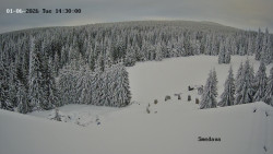 Směďava, Černý vrch