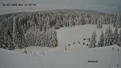 Směďava, Černý vrch