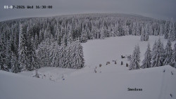 Směďava, Černý vrch