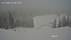 Směďava, Černý vrch