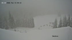 Směďava, Černý vrch