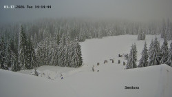 Směďava, Černý vrch