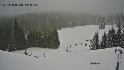 Směďava, Černý vrch