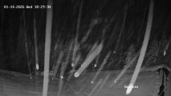 Směďava, Černý vrch