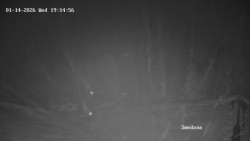 Směďava, Černý vrch