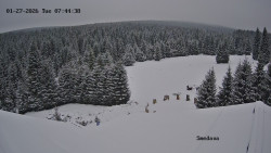 Směďava, Černý vrch