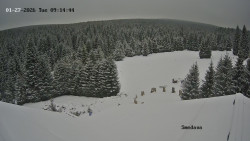 Směďava, Černý vrch