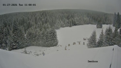 Směďava, Černý vrch