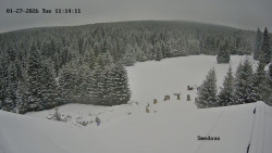 Směďava, Černý vrch