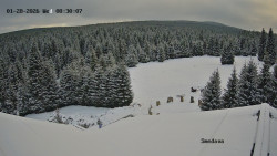 Směďava, Černý vrch