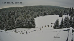 Směďava, Černý vrch