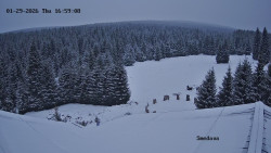 Směďava, Černý vrch