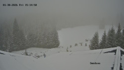 Směďava, Černý vrch