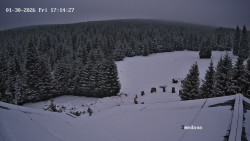 Směďava, Černý vrch