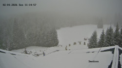 Směďava, Černý vrch