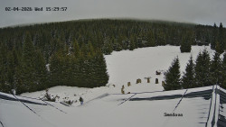 Směďava, Černý vrch