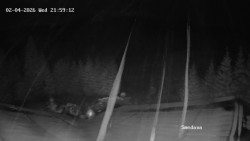 Směďava, Černý vrch