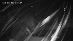 Směďava, Černý vrch