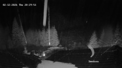 Směďava, Černý vrch