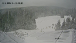 Směďava, Černý vrch