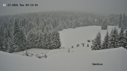 Směďava, Černý vrch