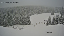 Směďava, Černý vrch