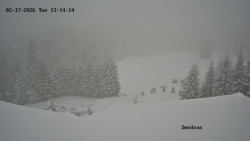 Směďava, Černý vrch