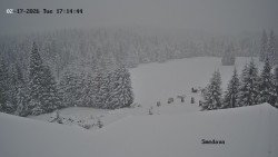 Směďava, Černý vrch