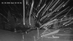 Směďava, Černý vrch