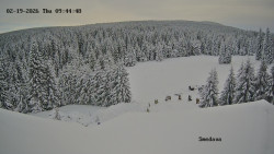 Směďava, Černý vrch