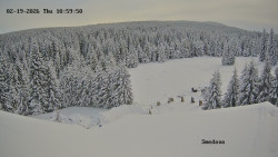 Směďava, Černý vrch