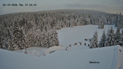 Směďava, Černý vrch