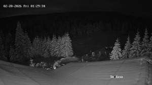 Směďava - Směďava, Černý vrch - 20.2.2026 v 01:30 Směďava - Směďava, Černý vrch - 20.2.2026 v 01:30
