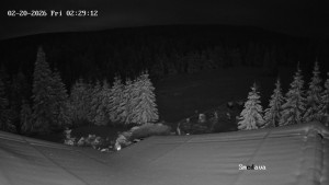 Směďava - Směďava, Černý vrch - 20.2.2026 v 02:30 Směďava - Směďava, Černý vrch - 20.2.2026 v 02:30