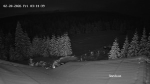 Směďava - Směďava, Černý vrch - 20.2.2026 v 03:15 Směďava - Směďava, Černý vrch - 20.2.2026 v 03:15