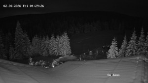 Směďava - Směďava, Černý vrch - 20.2.2026 v 04:30 Směďava - Směďava, Černý vrch - 20.2.2026 v 04:30