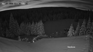 Směďava - Směďava, Černý vrch - 20.2.2026 v 06:00 Směďava - Směďava, Černý vrch - 20.2.2026 v 06:00