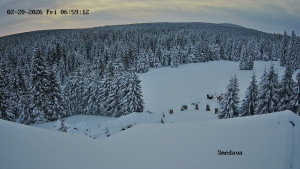 Směďava - Směďava, Černý vrch - 20.2.2026 v 07:00 Směďava - Směďava, Černý vrch - 20.2.2026 v 07:00