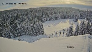 Směďava - Směďava, Černý vrch - 20.2.2026 v 08:45 Směďava - Směďava, Černý vrch - 20.2.2026 v 08:45