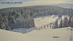Směďava - Směďava, Černý vrch - 20.2.2026 v 09:15 Směďava - Směďava, Černý vrch - 20.2.2026 v 09:15