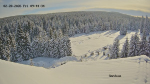 Směďava - Směďava, Černý vrch - 20.2.2026 v 09:45 Směďava - Směďava, Černý vrch - 20.2.2026 v 09:45