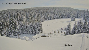 Směďava - Směďava, Černý vrch - 20.2.2026 v 11:30 Směďava - Směďava, Černý vrch - 20.2.2026 v 11:30