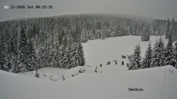 Směďava, Černý vrch