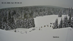 Směďava, Černý vrch