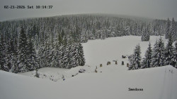 Směďava, Černý vrch