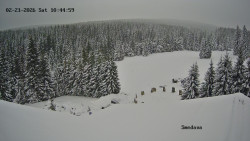 Směďava, Černý vrch